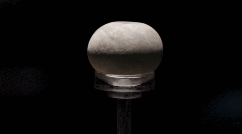 文博日歷丨夜明珠不是傳說(shuō)！不信你看→