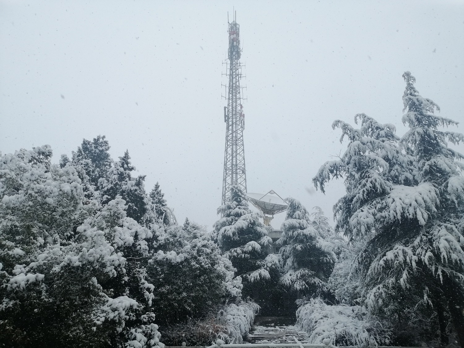 尖峰山   陳堅(jiān)