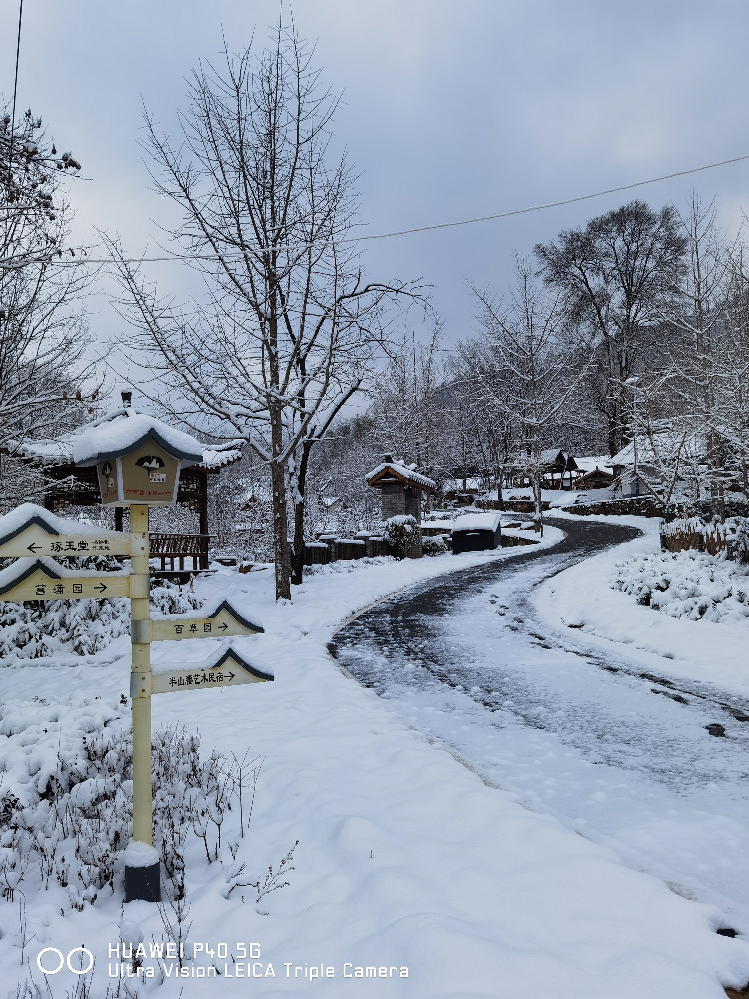 楊集鎮(zhèn)菖蒲村    作者：汪平3
