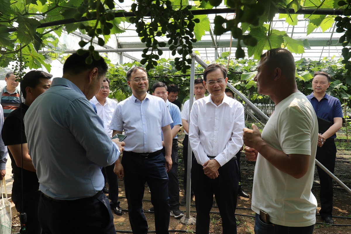 afbe8bd277abbd1dd0d65afb9aee84c afbe8bd277abbd1dd0d65afb9aee84c