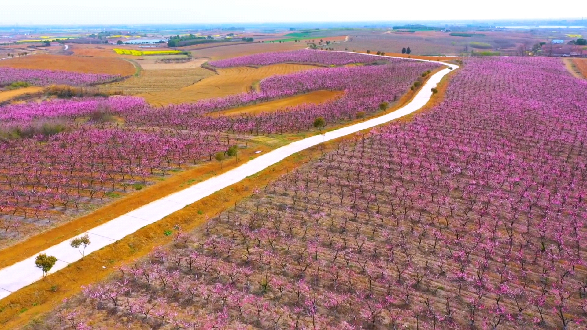 Videoframe_20230316_104928_com Videoframe_20230316_104928_com