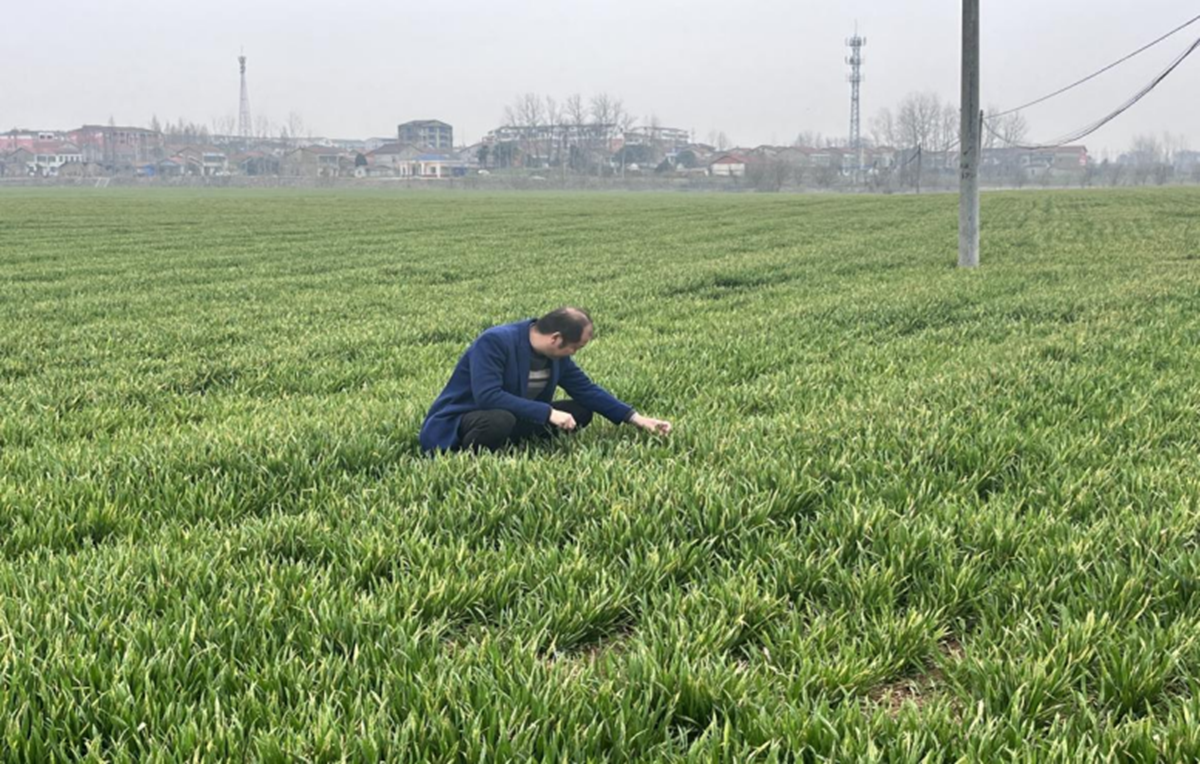 33333333333333 33333333333333