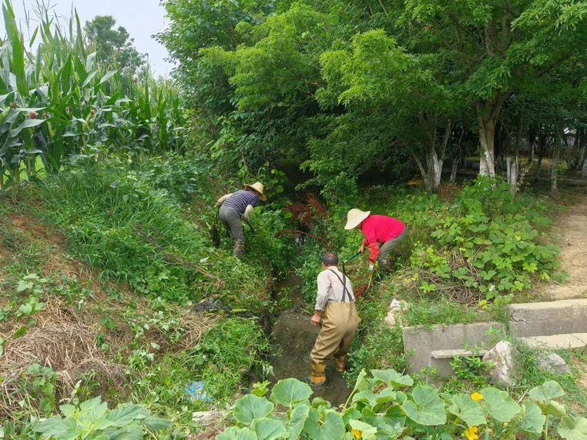 3a300c96b1821a928bdd185a16b52cea_8e739eff-9e76-45c6-9bd9-1238010966f1-w800 3a300c96b1821a928bdd185a16b52cea_8e739eff-9e76-45c6-9bd9-1238010966f1-w800