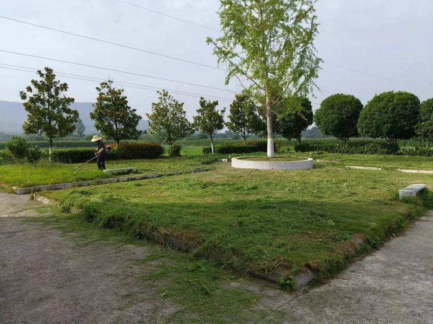 01b0c1c95cf666e355e65b2ae3fb1cd1_595850c4-a42a-4cf9-b2fa-89bf1c00b5de-w800 01b0c1c95cf666e355e65b2ae3fb1cd1_595850c4-a42a-4cf9-b2fa-89bf1c00b5de-w800