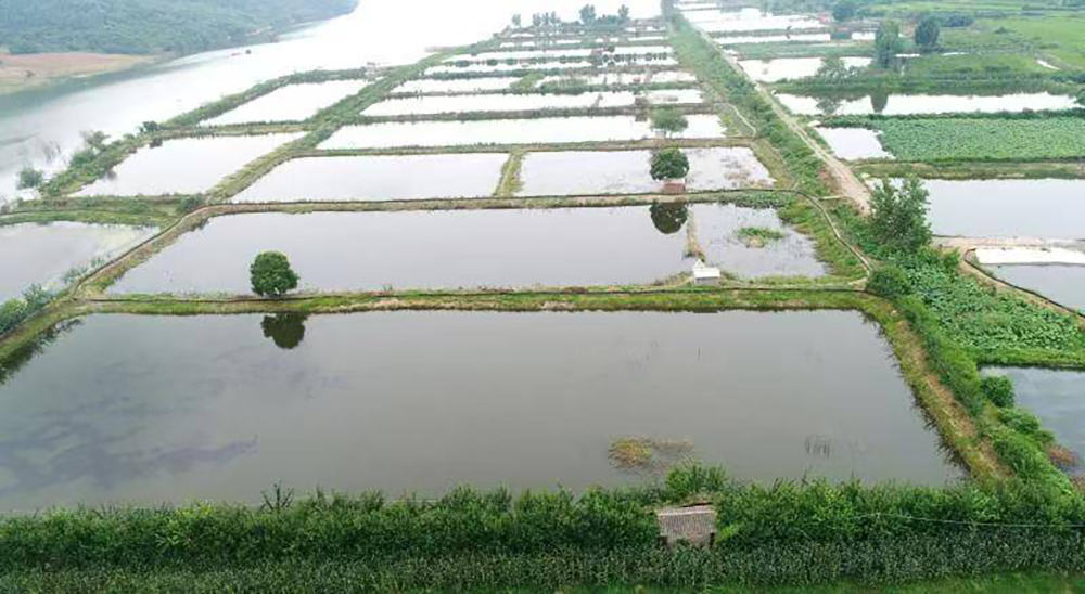 489e0408-4222-4a01-b8a1-3dffe6a00e33.jpg 489e0408-4222-4a01-b8a1-3dffe6a00e33.jpg