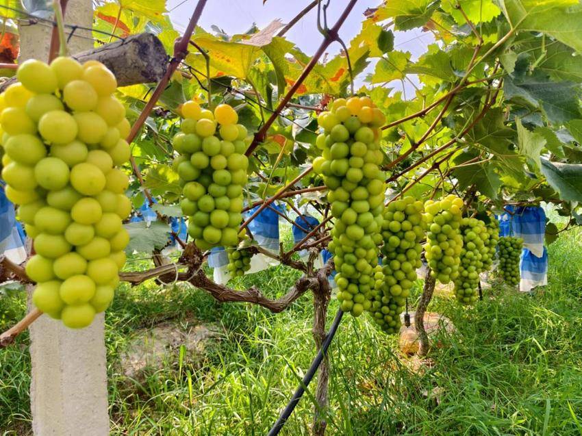 11116b64-1f6e-4ddc-bd13-7db580257a70-w800.jpg 11116b64-1f6e-4ddc-bd13-7db580257a70-w800.jpg