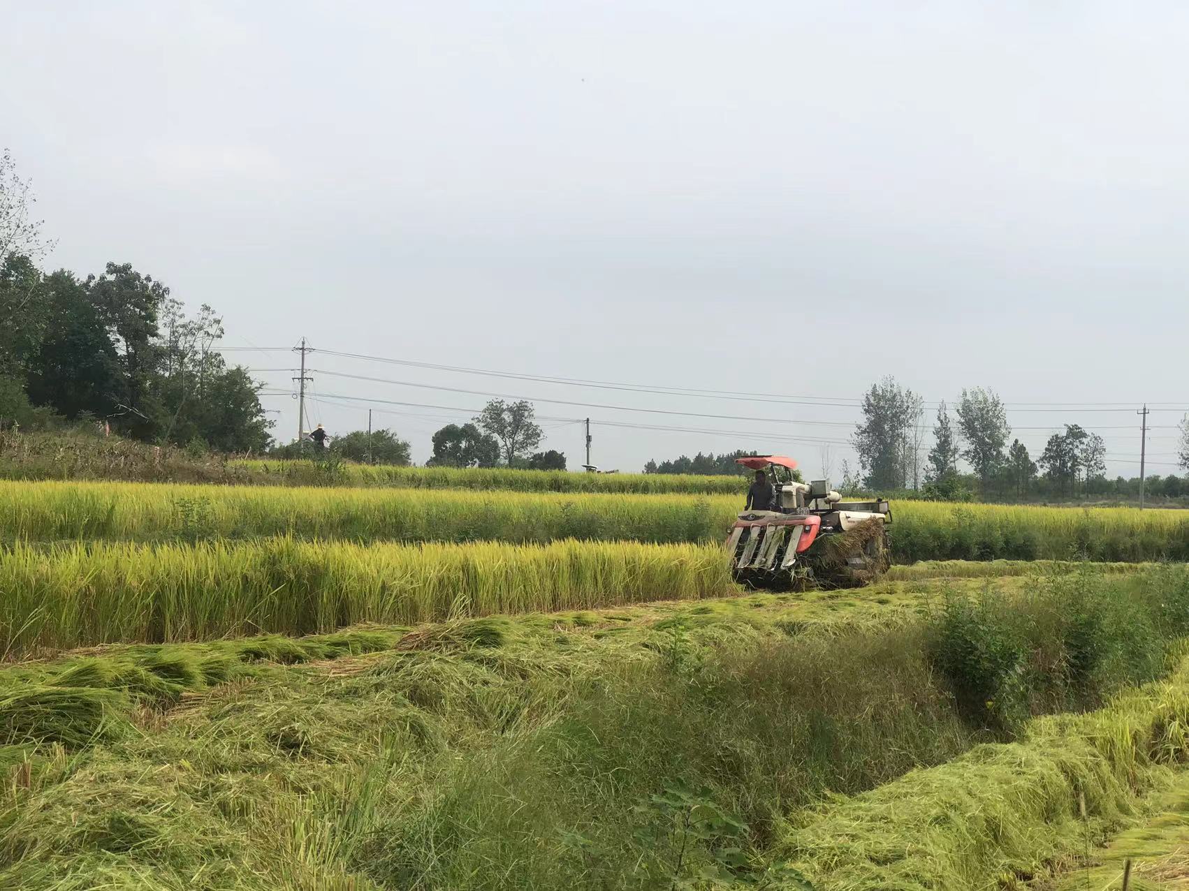 ad21af0d7e9a35192f33e8b0e2835ad28cd09966b15422ea6a44e5d76f176cd ad21af0d7e9a35192f33e8b0e2835ad28cd09966b15422ea6a44e5d76f176cd