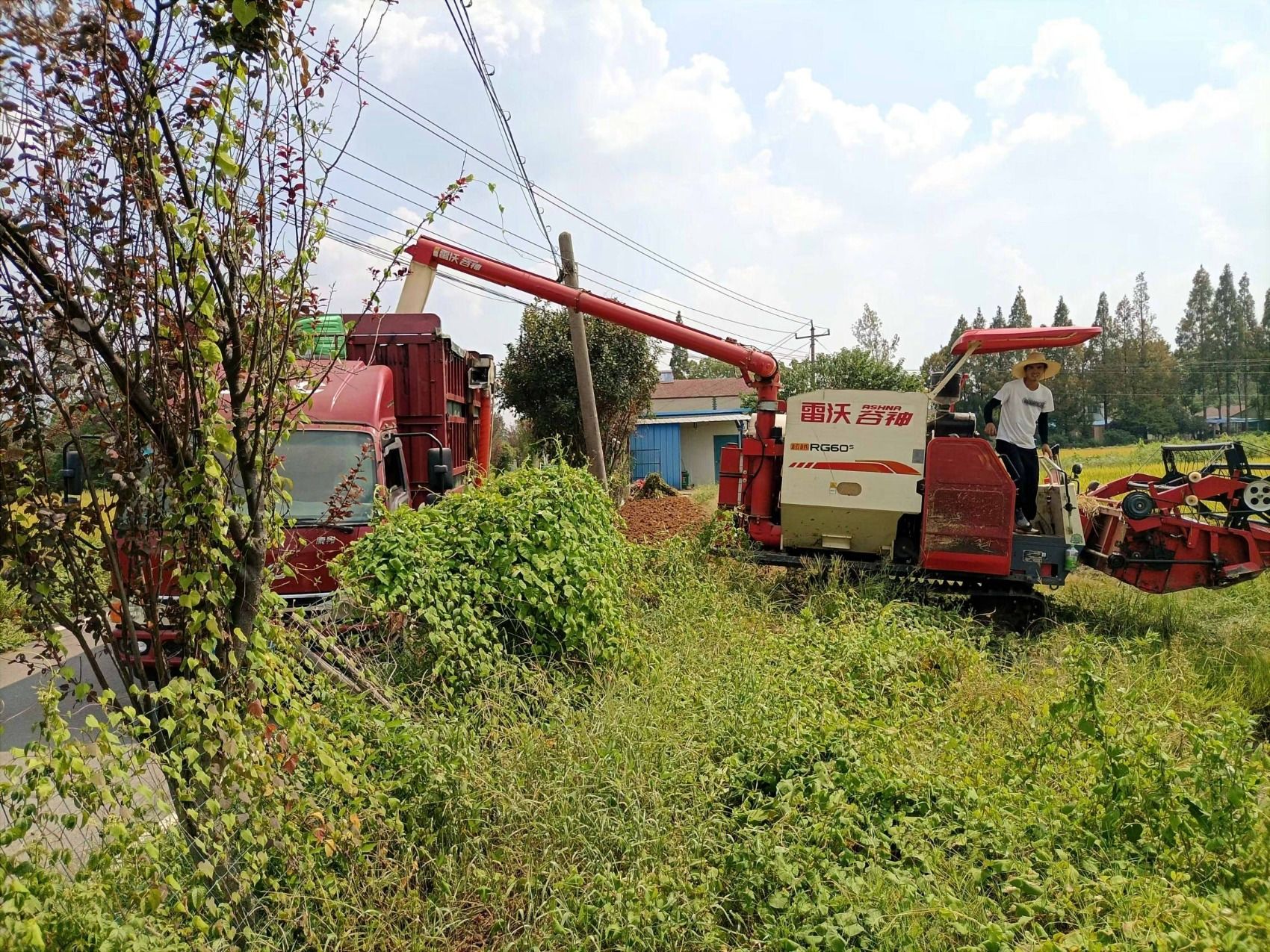 Img2660a1479d4a442692a8794ad8b9747b