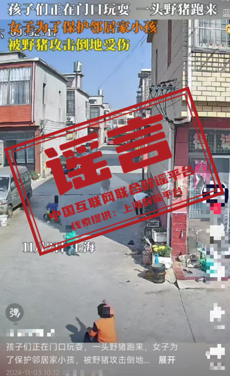 微信圖片_20241104174737