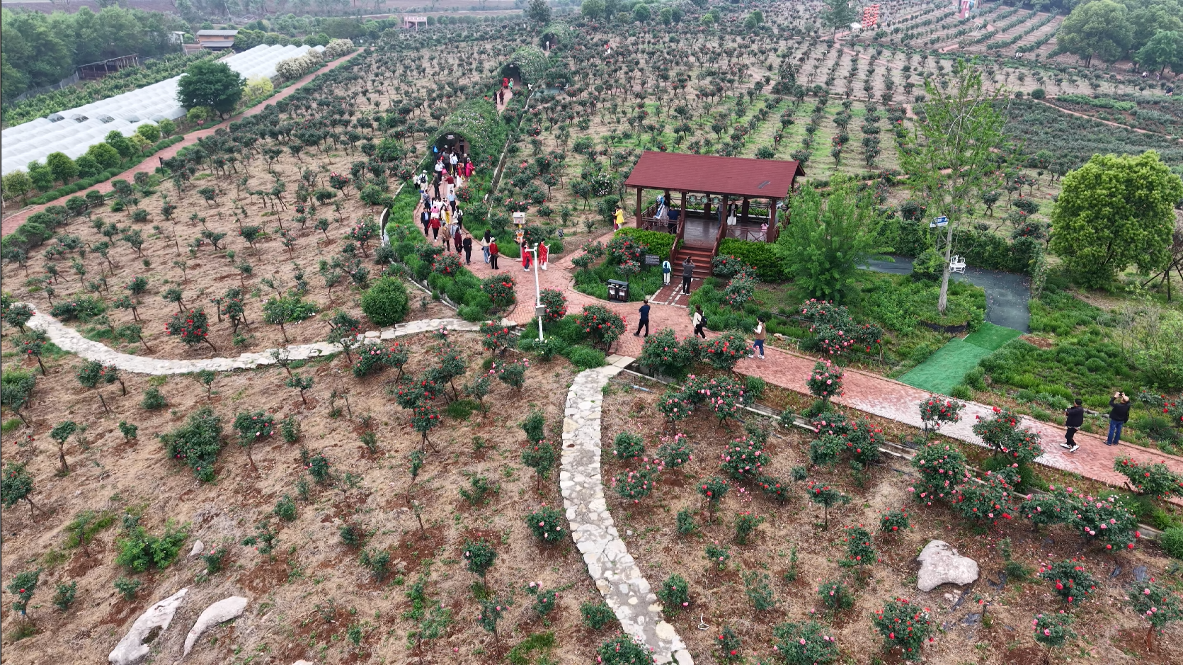 900720d3032347b8ae2149c79298aa79_image