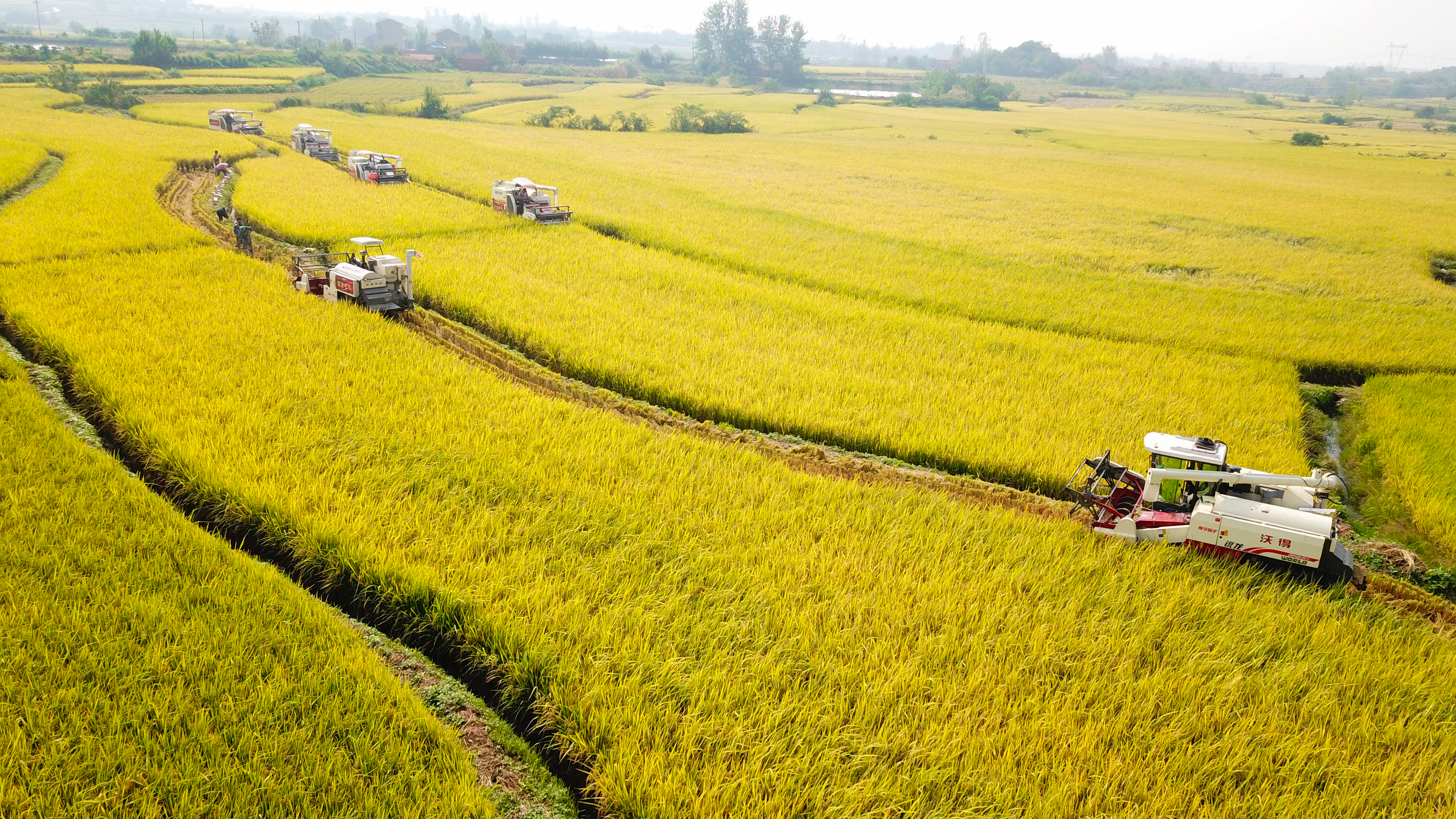 18D2ACDF-1182-4C15-BE5B-C01920EDAB92