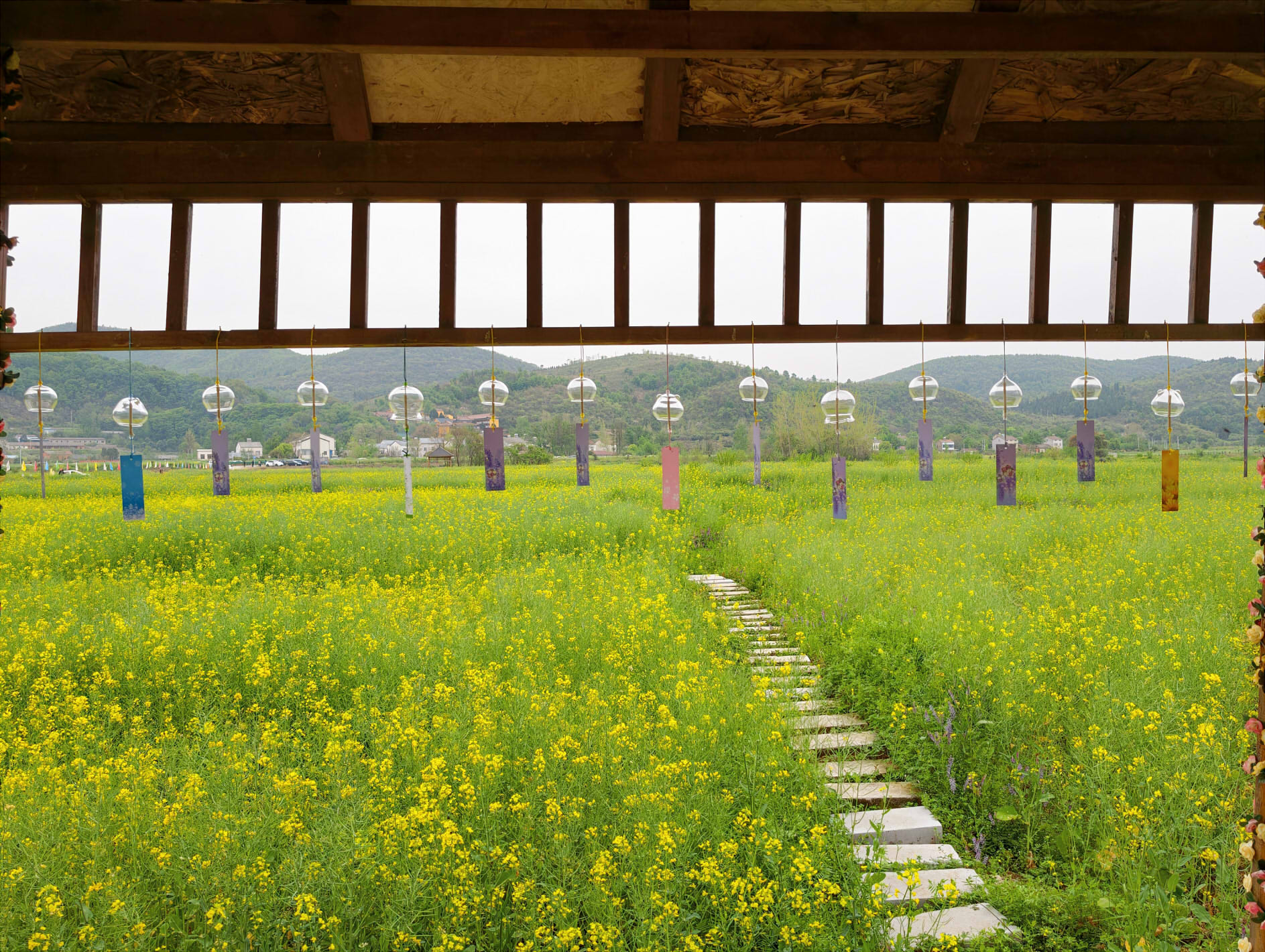 永興街道舉辦“花漫觀音巖，福澤潤人間”賞花游活動A46f98b17a3ac249c5bbd5cf8e05175008